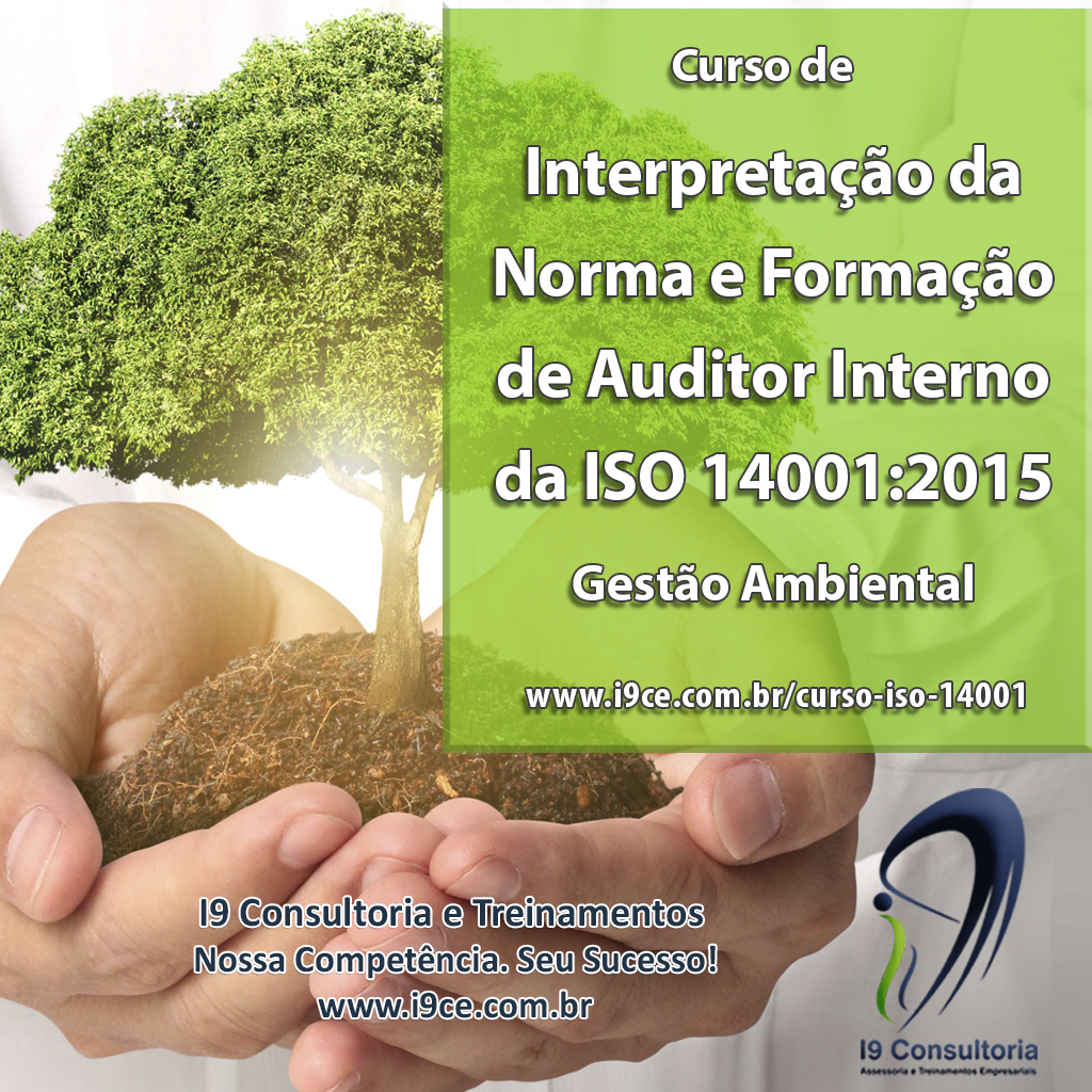 Curso De Formação De Auditor Interno Da Norma Nbr Iso 140012015 I9