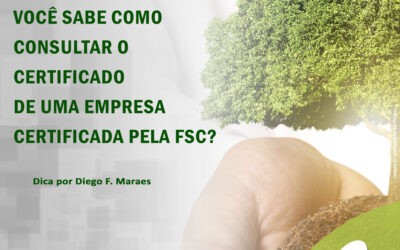FSC: Como consultar uma empresa certificada?
