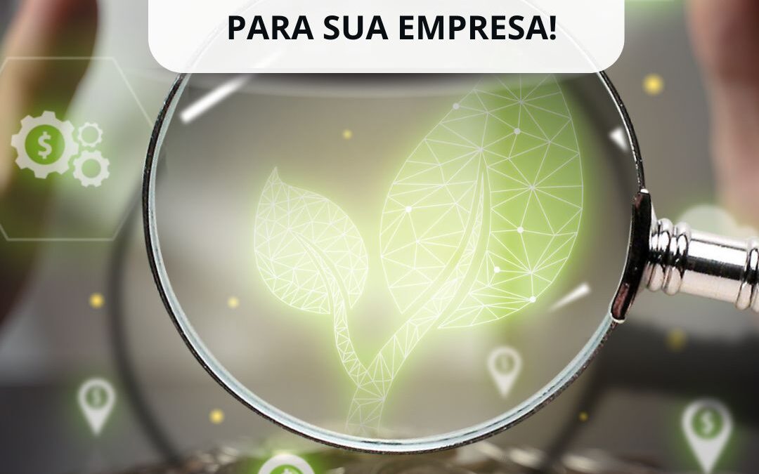 As Novas Exigências do MAPA: Impactos e Desafios para Sua Empresa