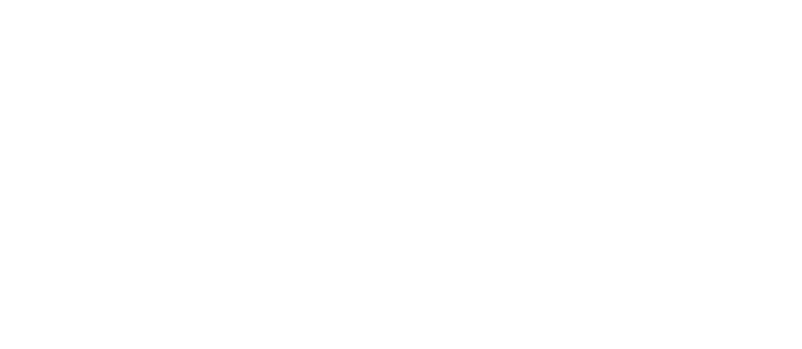 I9 Consultoria Empresarial - OEA Group